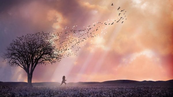 Y A T Il Une Vie Apres La Mort Temoignage Qu'y a-t-il après la mort ? - La vie après la mort