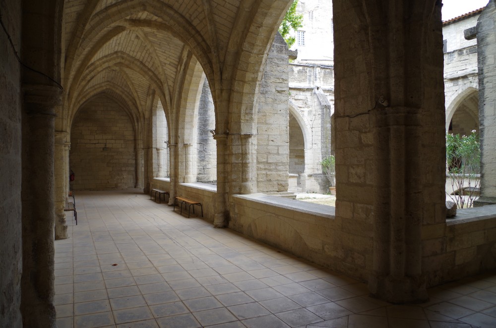 Si Dieu est bon, pourquoi la mort ?