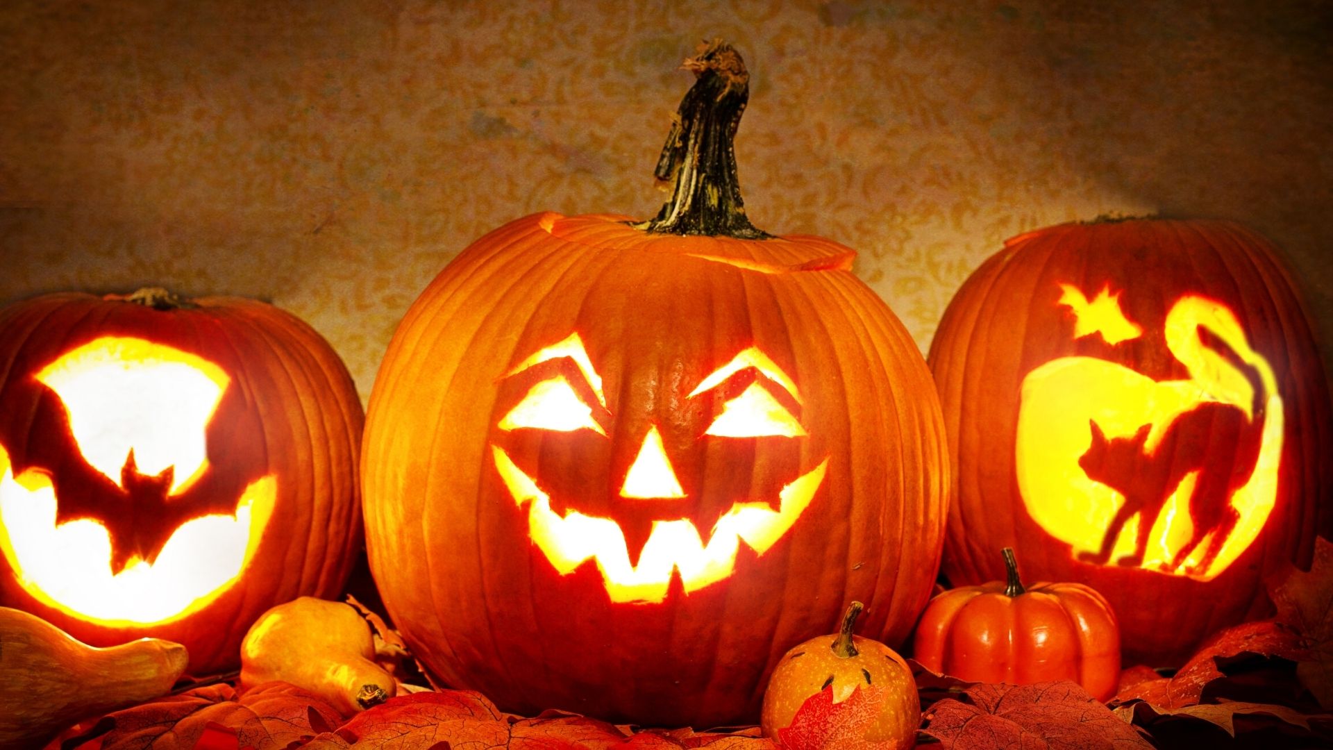 citrouille halloween