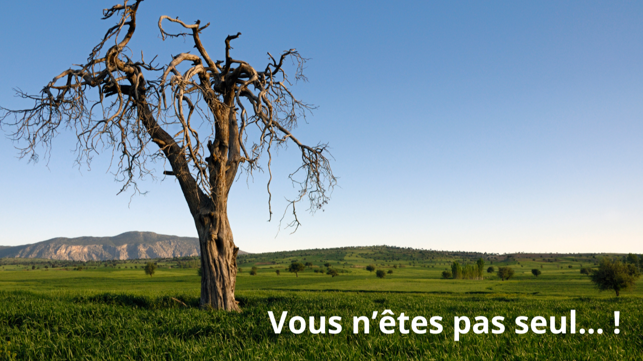 Avez-vous peur de mourir ?